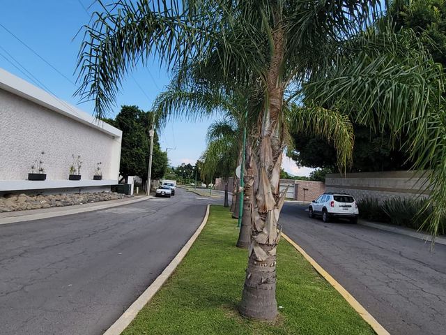 place photo 41