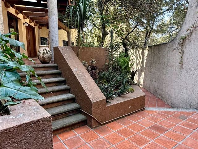 place photo 43