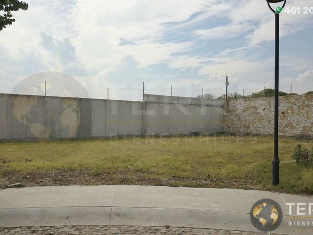 place photo 56
