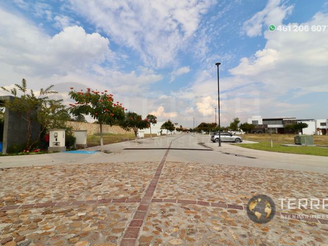 place photo 58