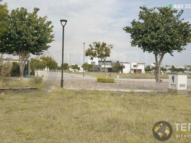 place photo 53