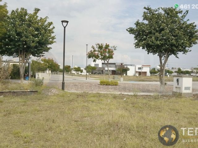 place photo 54