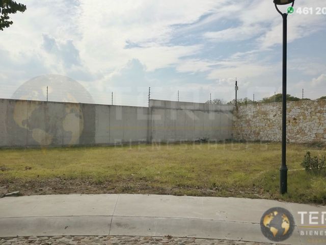 place photo 55