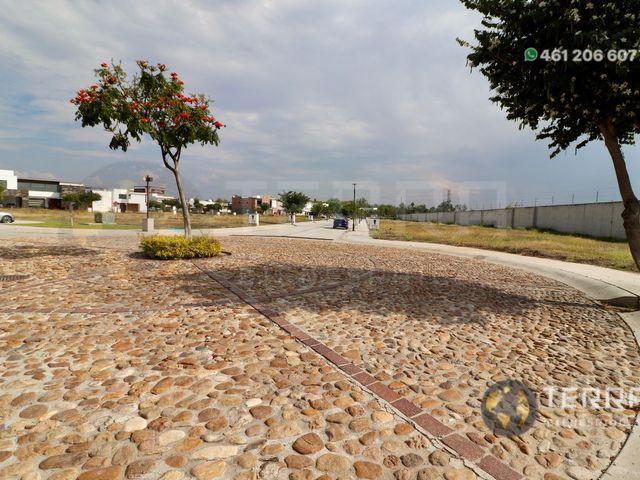 place photo 59