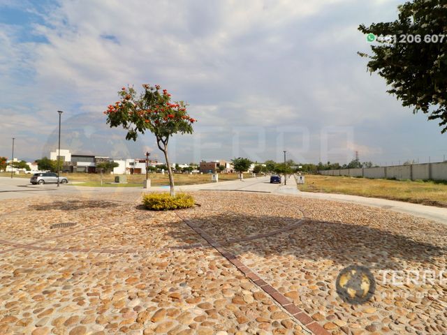 place photo 60