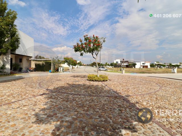 place photo 61