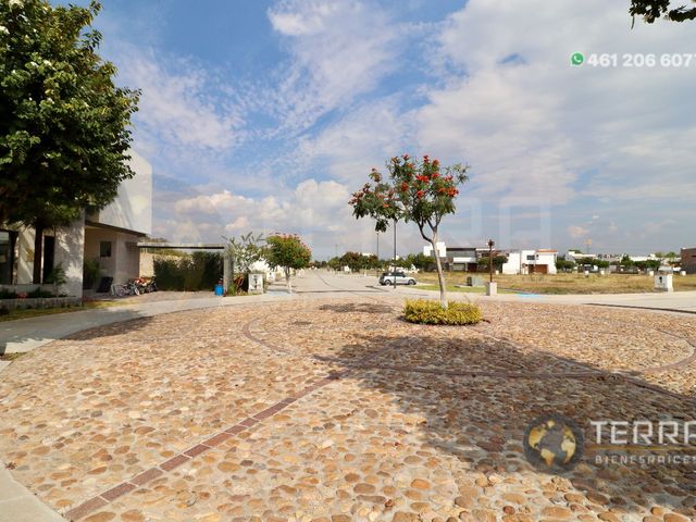 place photo 62