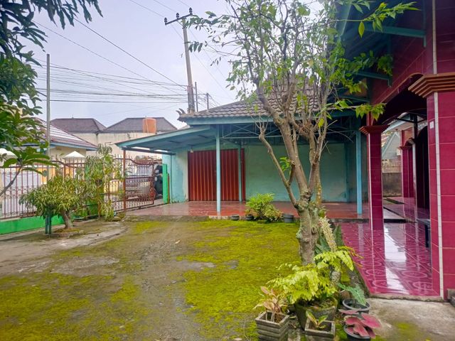 place photo 12