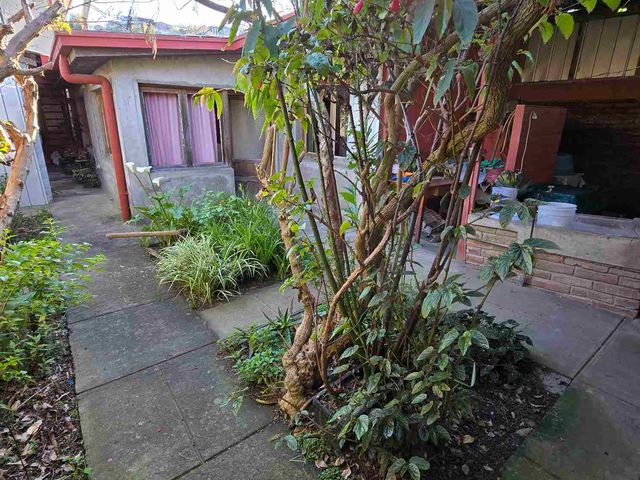 place photo 30