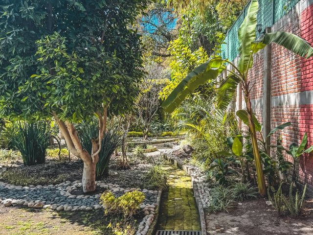 place photo 25