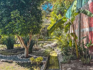 place photo 25