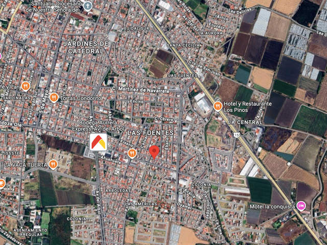 place photo 7