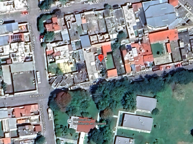 place photo 12