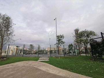 place photo 18