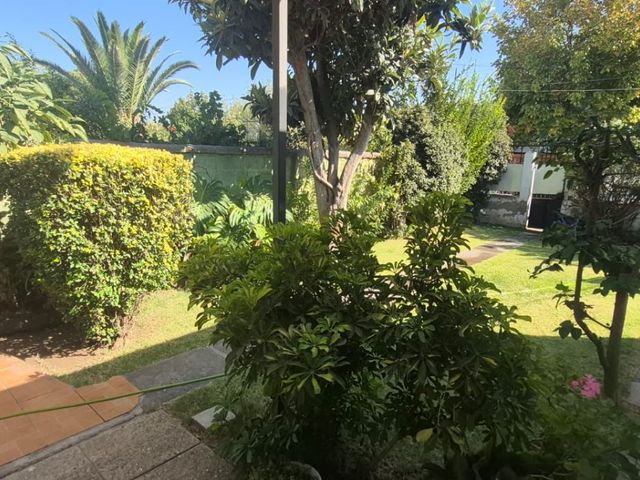 place photo 32
