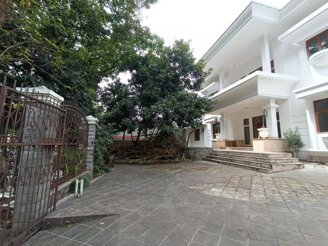 place photo 14