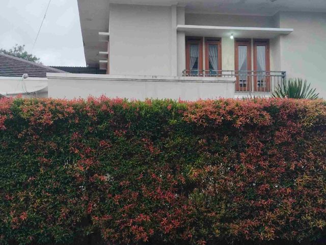 place photo 22