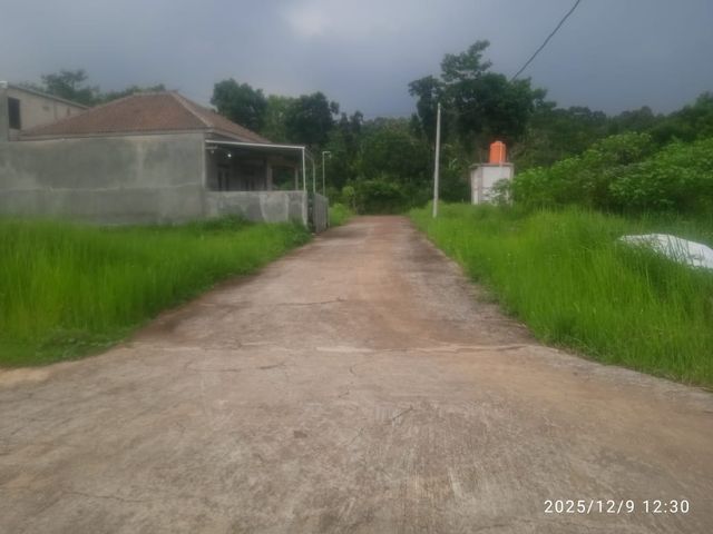 place photo 13