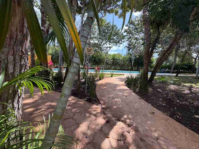 place photo 16