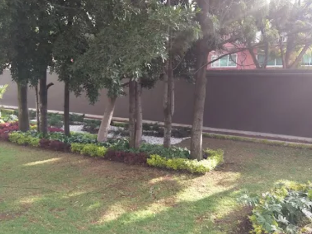 place photo 52