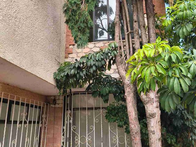 place photo 41