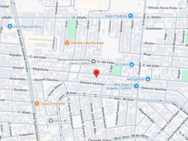 place photo 6