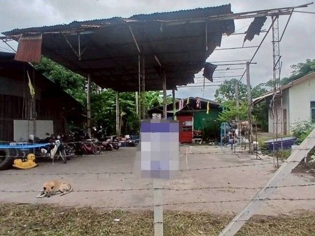 place photo 3