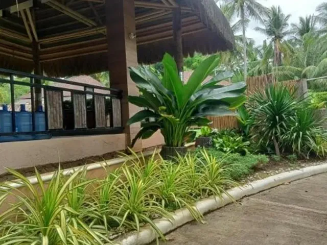 place photo 20