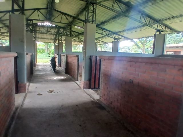 place photo 56
