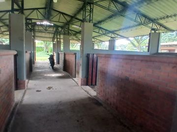 place photo 56