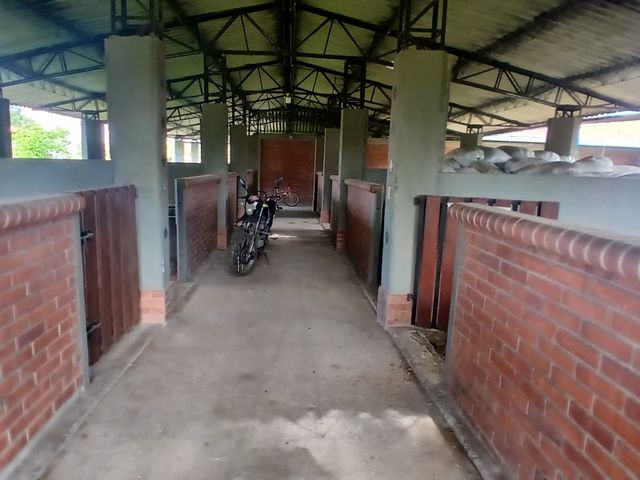 place photo 57