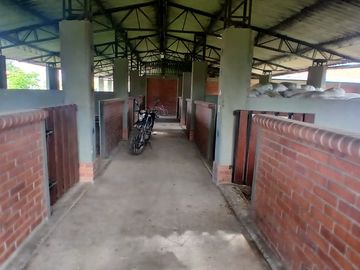 place photo 57