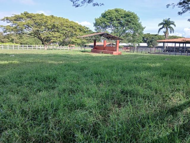 place photo 42
