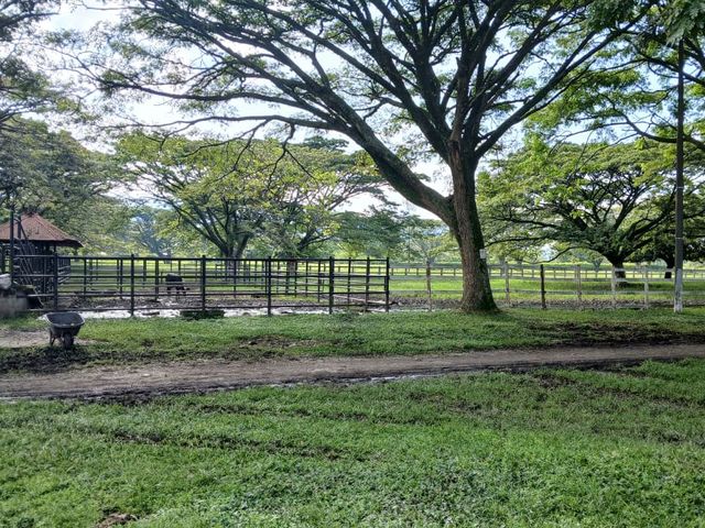 place photo 46