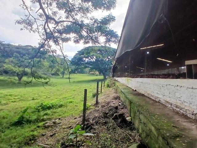 place photo 74