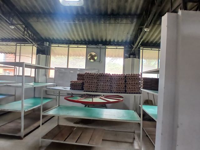 place photo 61