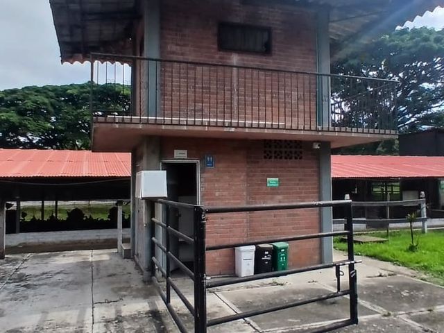 place photo 62