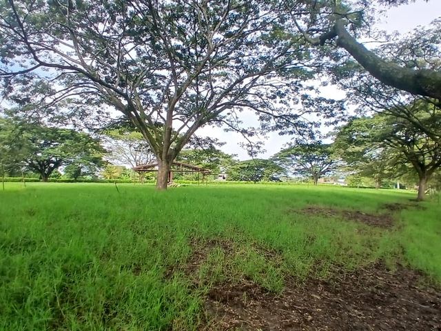 place photo 47