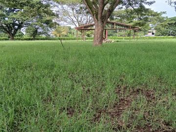place photo 50