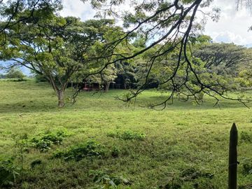 place photo 51