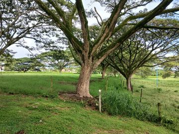 place photo 54