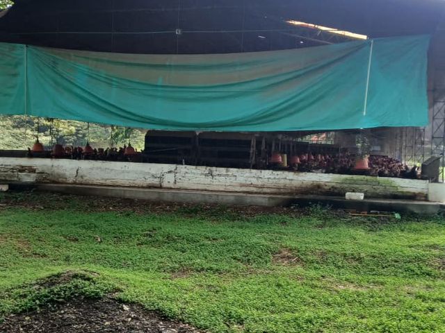 place photo 76
