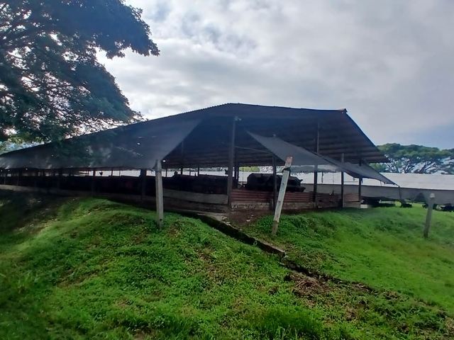 place photo 78