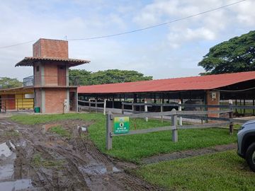 place photo 96