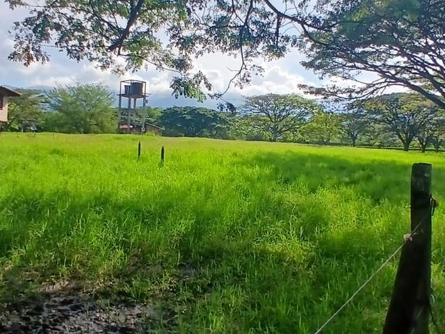 place photo 36