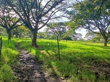 place photo 37