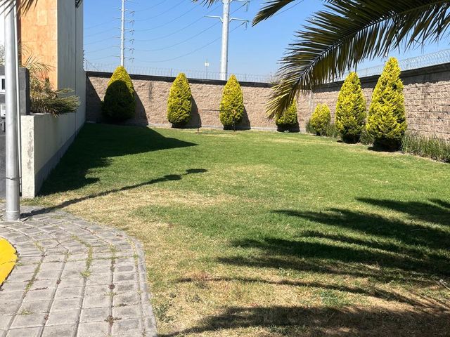 place photo 24