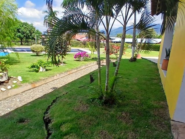 place photo 48
