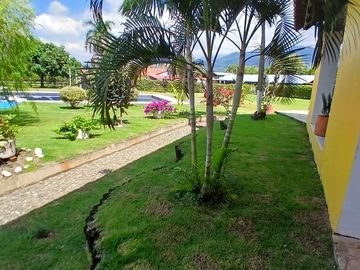 place photo 48