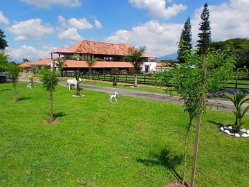 place photo 34